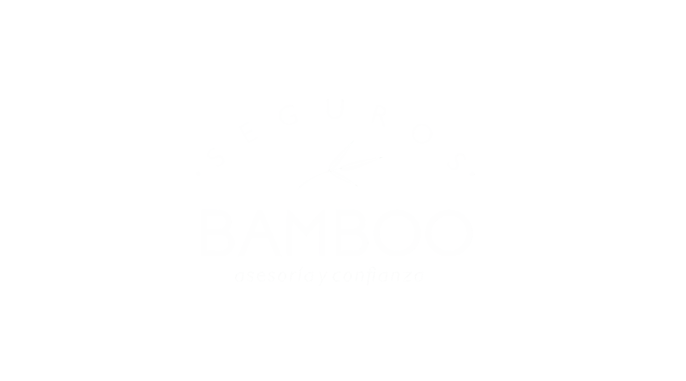 Bamboo Seguros — asesoría y confianza